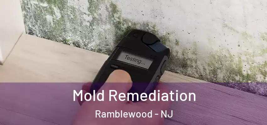  Mold Remediation Ramblewood - NJ