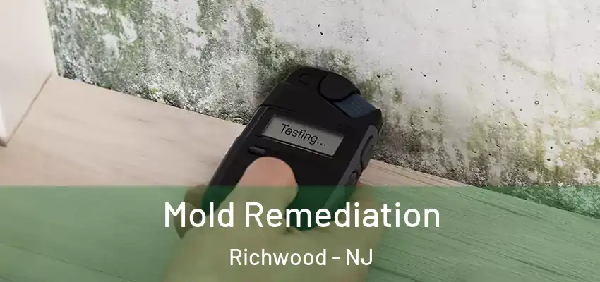 Mold Remediation Richwood - NJ