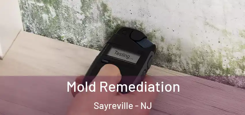 Mold Remediation Sayreville - NJ