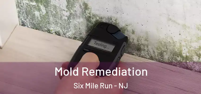 Mold Remediation Six Mile Run - NJ