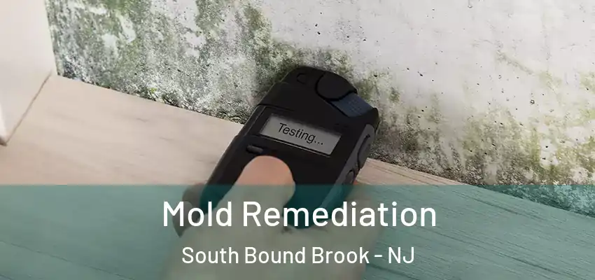Mold Remediation South Bound Brook - NJ