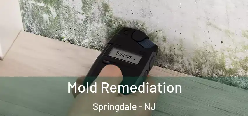 Mold Remediation Springdale - NJ
