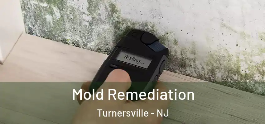 Mold Remediation Turnersville - NJ
