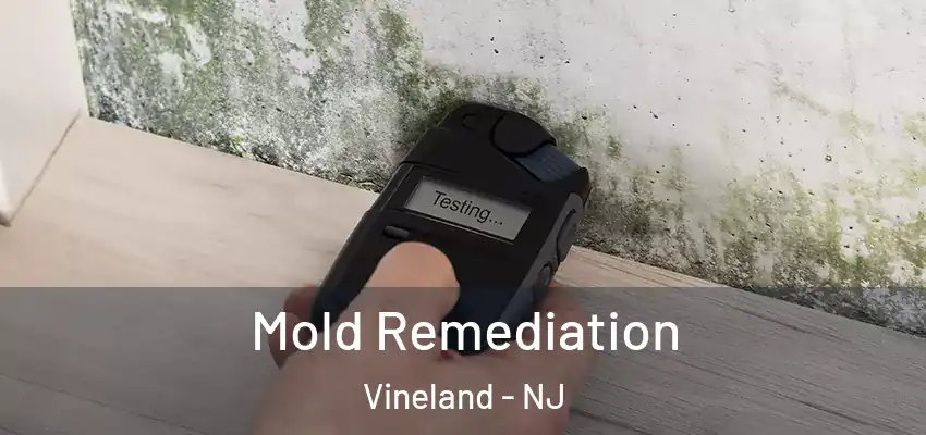  Mold Remediation Vineland - NJ