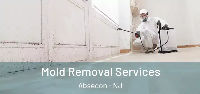 Mold Removal Services Absecon - NJ