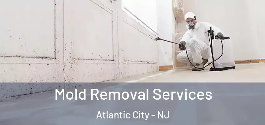 Mold Removal Services Atlantic City - NJ