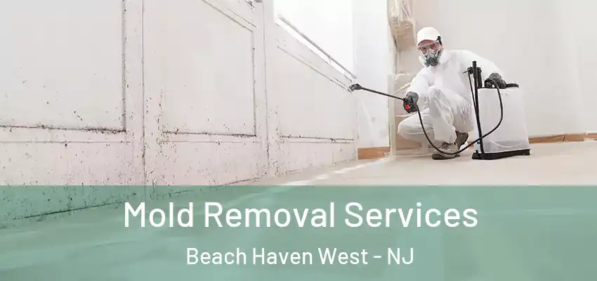 Mold Removal Services Beach Haven West - NJ