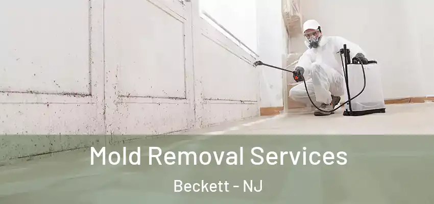  Mold Removal Services Beckett - NJ