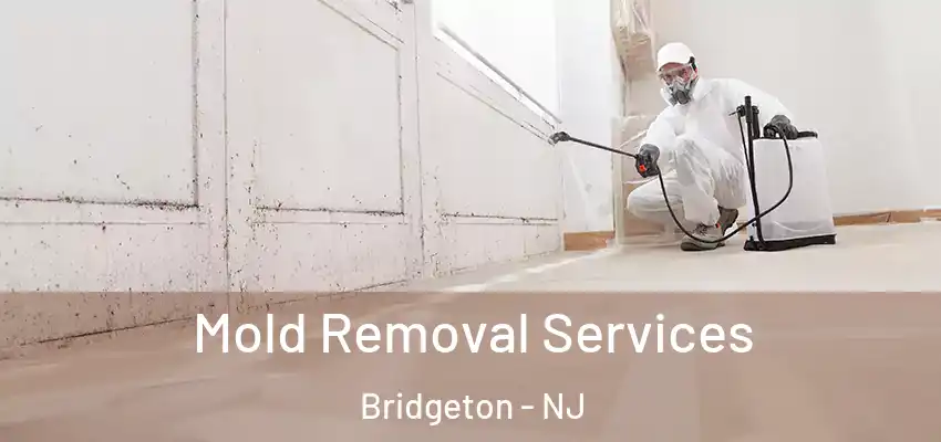 Mold Removal Services Bridgeton - NJ