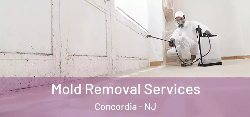  Mold Removal Services Concordia - NJ