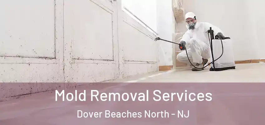  Mold Removal Services Dover Beaches North - NJ