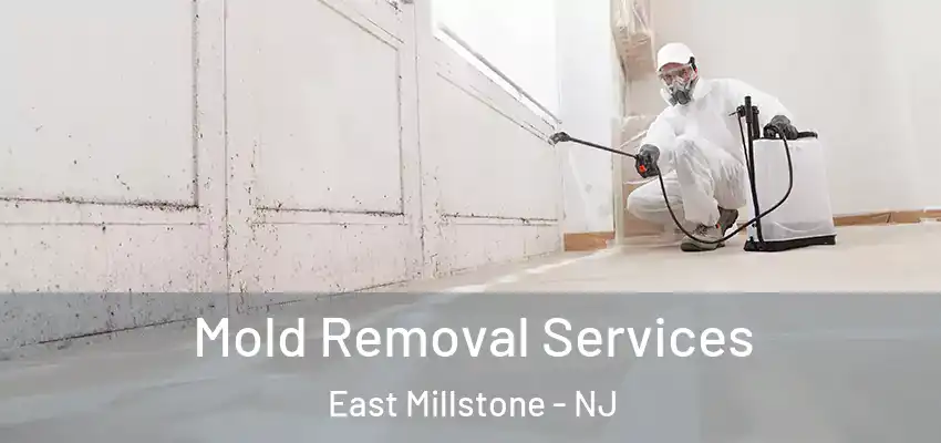  Mold Removal Services East Millstone - NJ
