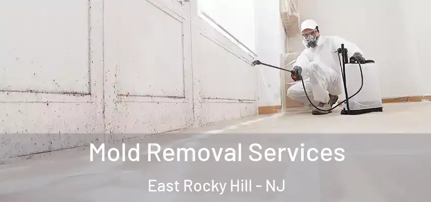 Mold Removal Services East Rocky Hill - NJ