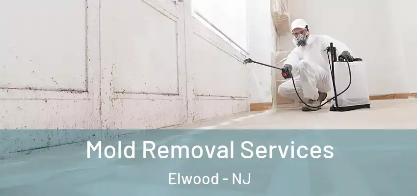 Mold Removal Services Elwood - NJ