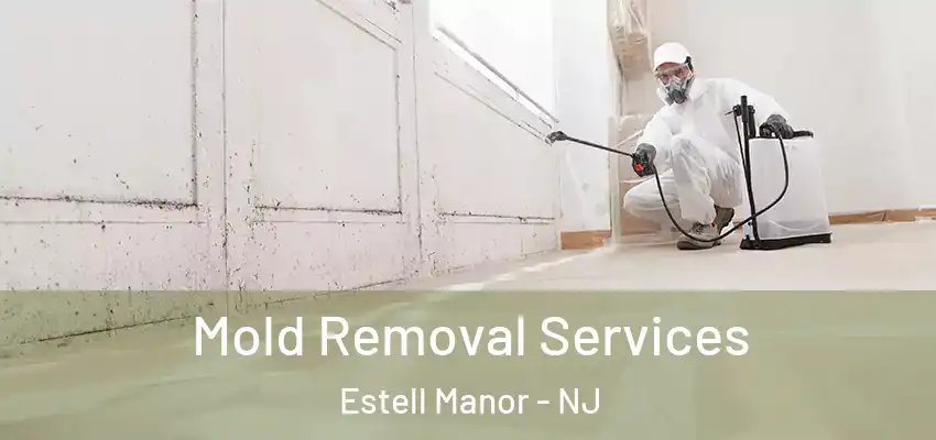 Mold Removal Services Estell Manor - NJ