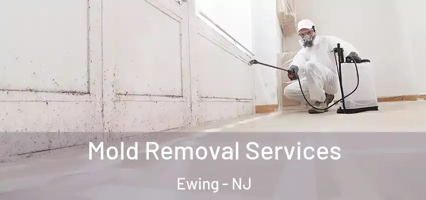  Mold Removal Services Ewing - NJ