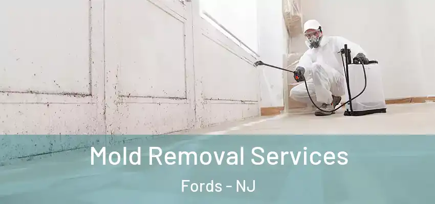  Mold Removal Services Fords - NJ