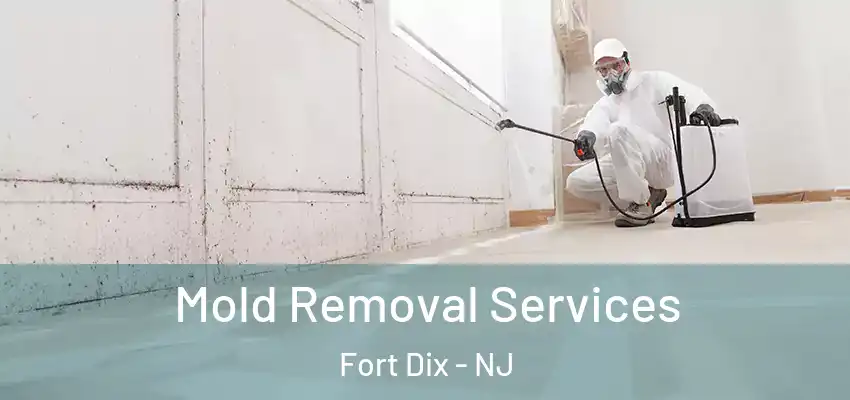  Mold Removal Services Fort Dix - NJ