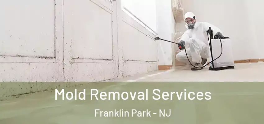  Mold Removal Services Franklin Park - NJ