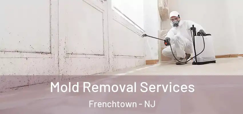  Mold Removal Services Frenchtown - NJ