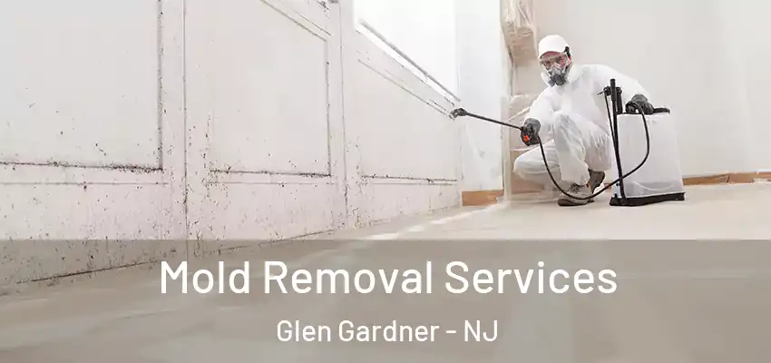 Mold Removal Services Glen Gardner - NJ