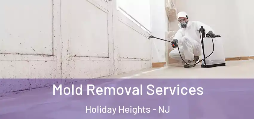  Mold Removal Services Holiday Heights - NJ