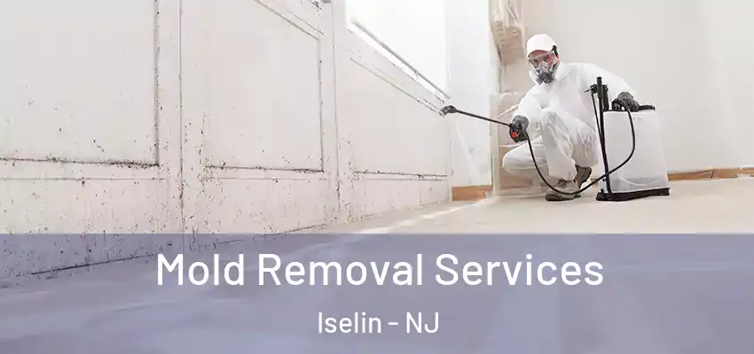  Mold Removal Services Iselin - NJ