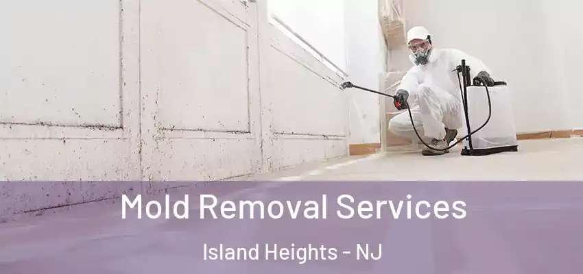Mold Removal Services Island Heights - NJ
