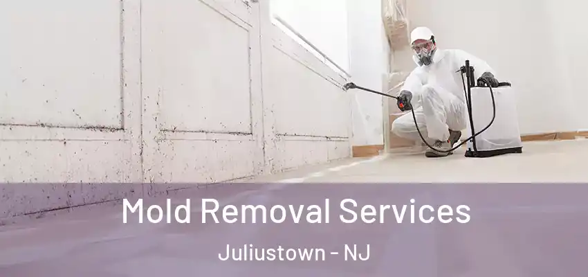 Mold Removal Services Juliustown - NJ