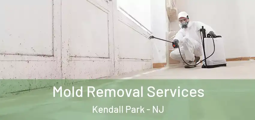 Mold Removal Services Kendall Park - NJ