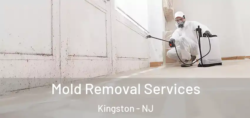  Mold Removal Services Kingston - NJ