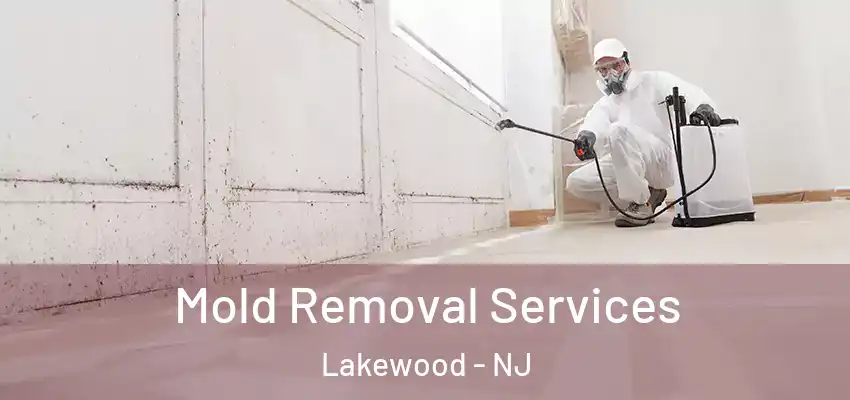 Mold Removal Services Lakewood - NJ