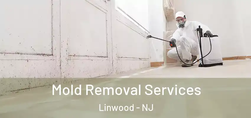 Mold Removal Services Linwood - NJ