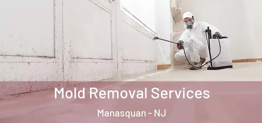 Mold Removal Services Manasquan - NJ