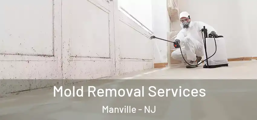 Mold Removal Services Manville - NJ