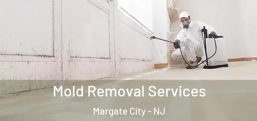 Mold Removal Services Margate City - NJ