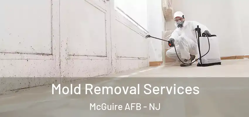 Mold Removal Services McGuire AFB - NJ