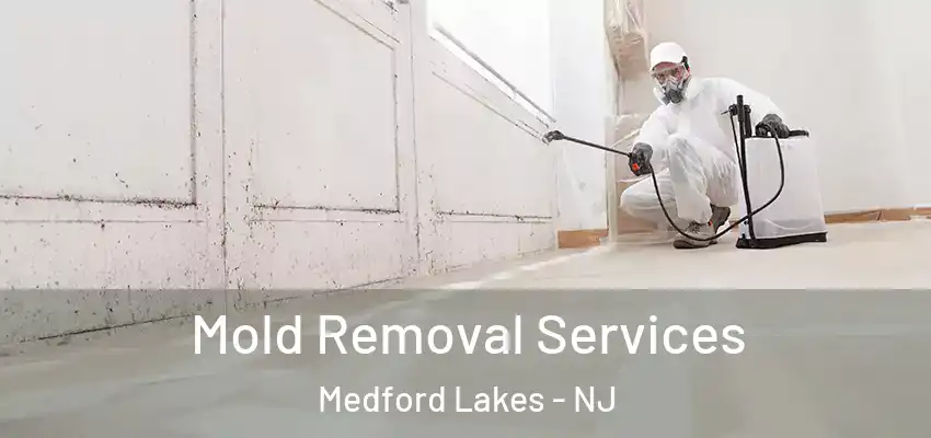 Mold Removal Services Medford Lakes - NJ
