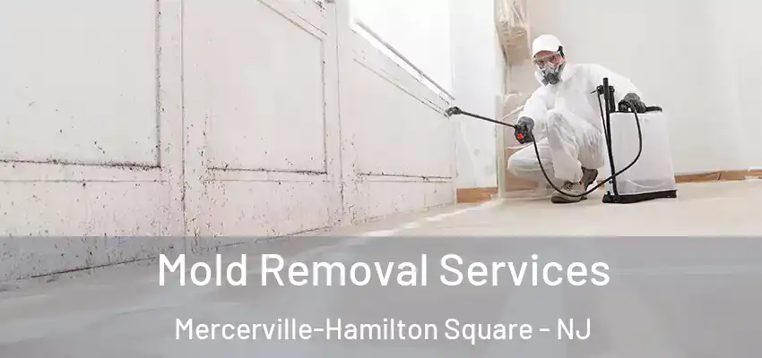 Mold Removal Services Mercerville-Hamilton Square - NJ