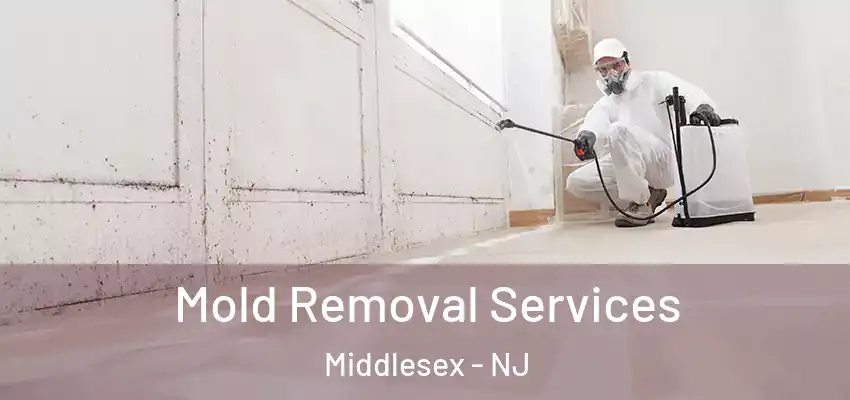  Mold Removal Services Middlesex - NJ