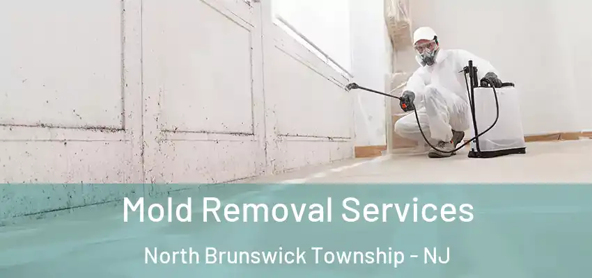  Mold Removal Services North Brunswick Township - NJ
