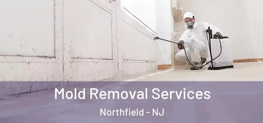 Mold Removal Services Northfield - NJ