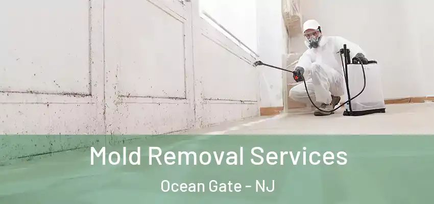  Mold Removal Services Ocean Gate - NJ