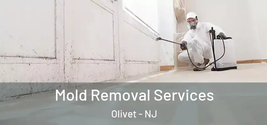  Mold Removal Services Olivet - NJ