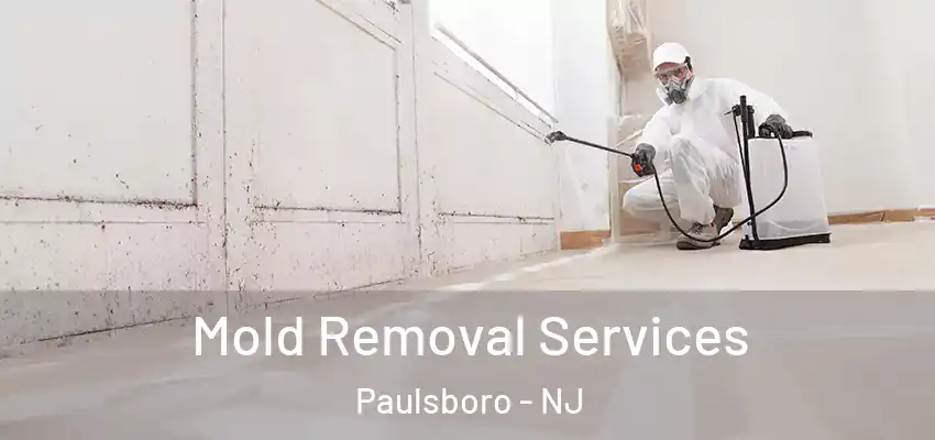 Mold Removal Services Paulsboro - NJ