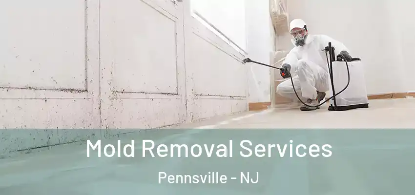  Mold Removal Services Pennsville - NJ