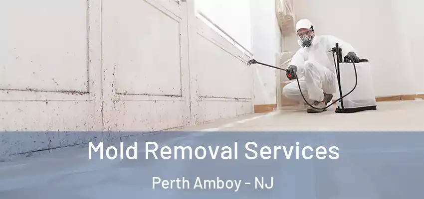 Mold Removal Services Perth Amboy - NJ