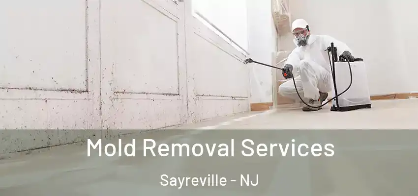 Mold Removal Services Sayreville - NJ