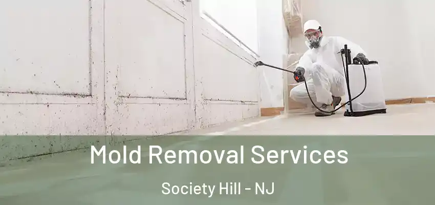 Mold Removal Services Society Hill - NJ