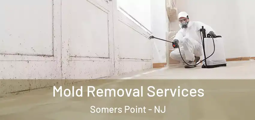 Mold Removal Services Somers Point - NJ